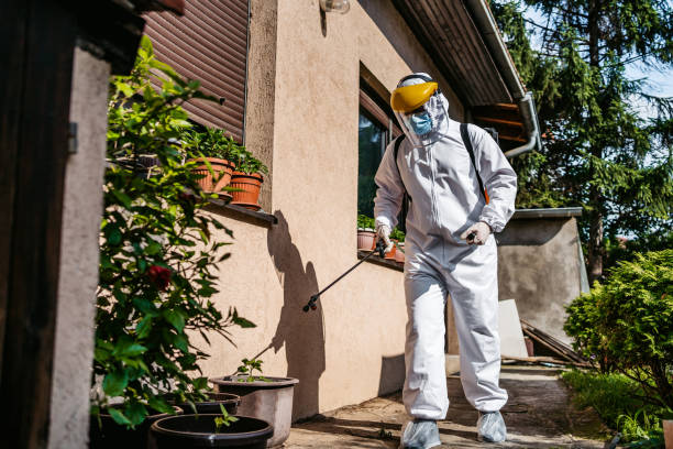 Best Pest Removal Services  in Steep Falls, ME
