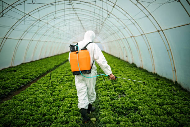 Best Pest Inspection Near Me  in Steep Falls, ME