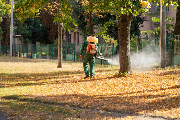 Best Affordable Pest Control Services  in Steep Falls, ME